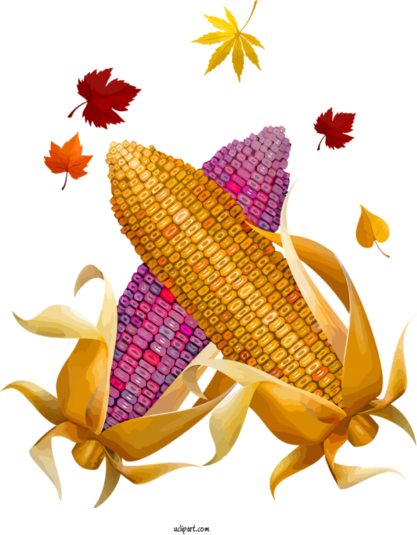 Free Holidays Corn On The Cob Vegetarian Food Vegetable For Thanksgiving Clipart Transparent Background
