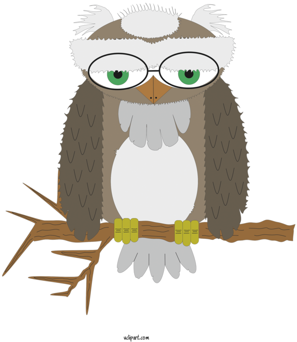 Free Animals Owl Cartoon Eastern Screech Owl For Owl Clipart Transparent Background