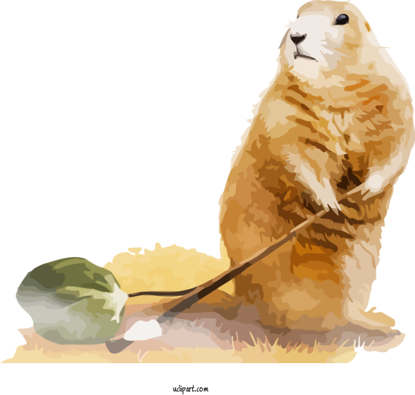 Free Holidays Seal Animal Figure Earless Seal For Groundhog Day Clipart Transparent Background