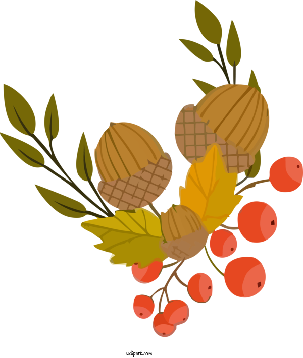 Free Nature Leaf Plant Tree For Autumn Clipart Transparent Background