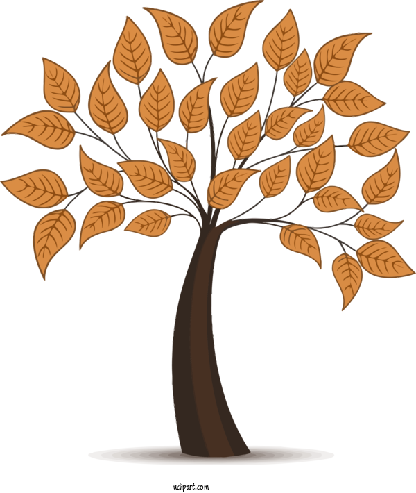 Free Nature Leaf Tree Plant For Tree Clipart Transparent Background