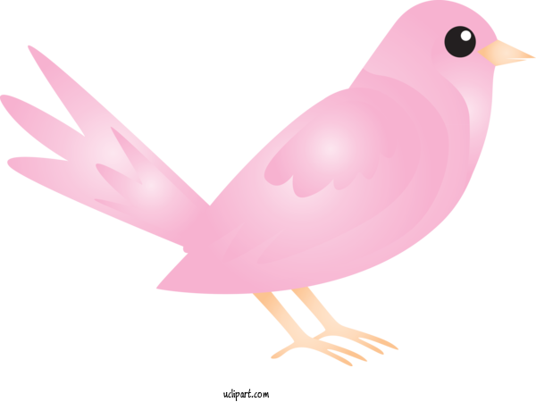 Free Animals Bird Beak Pink For Bird Clipart Transparent Background