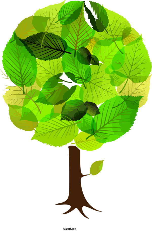 Free Nature Leaf Green Plant For Tree Clipart Transparent Background