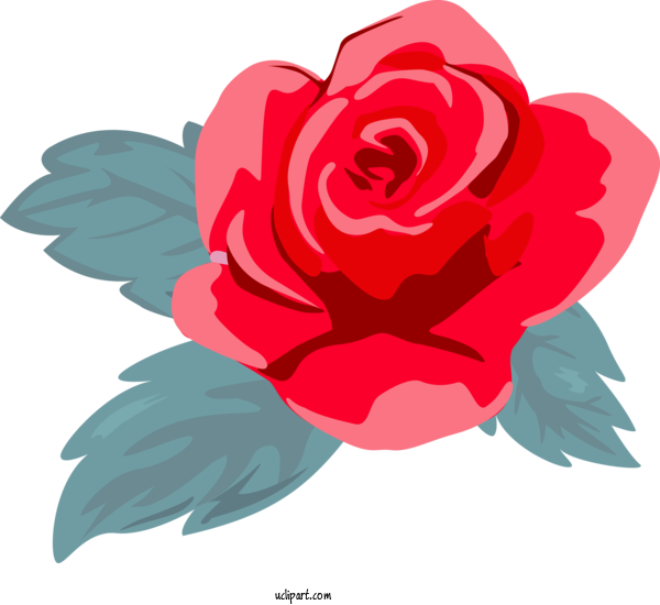 Free Flowers Garden Roses Red Rose For Rose Clipart Transparent Background