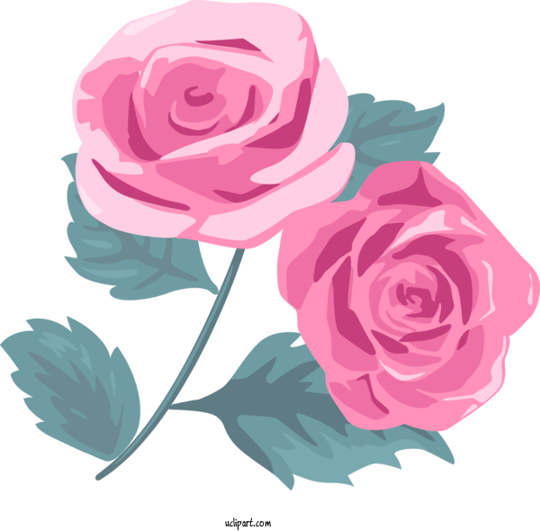 Free Flowers Garden Roses Flower Pink For Rose Clipart Transparent Background