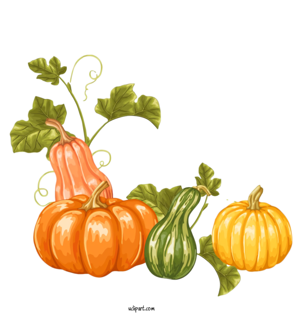 Free Holidays Natural Foods Vegetable Cucurbita For Thanksgiving Clipart Transparent Background
