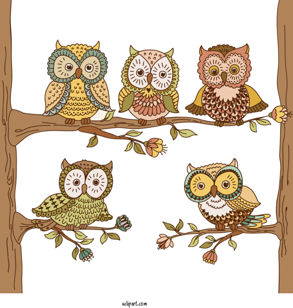Free Animals Owl Eastern Screech Owl Bird Of Prey For Owl Clipart Transparent Background