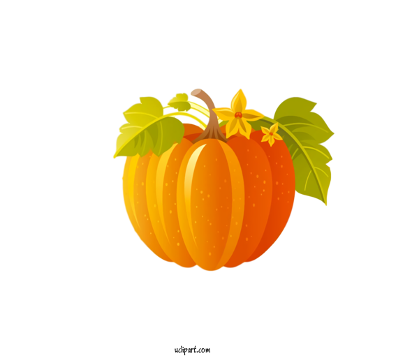 Free Holidays Leaf Plant Orange For Thanksgiving Clipart Transparent Background