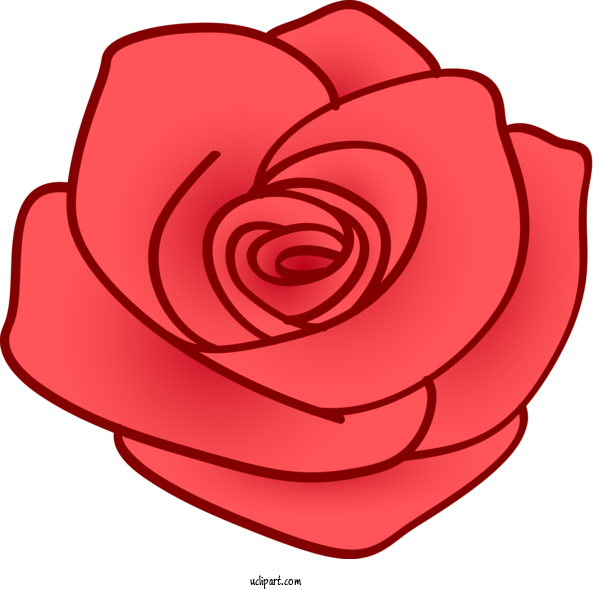 Free Flowers Red Rose Petal For Rose Clipart Transparent Background