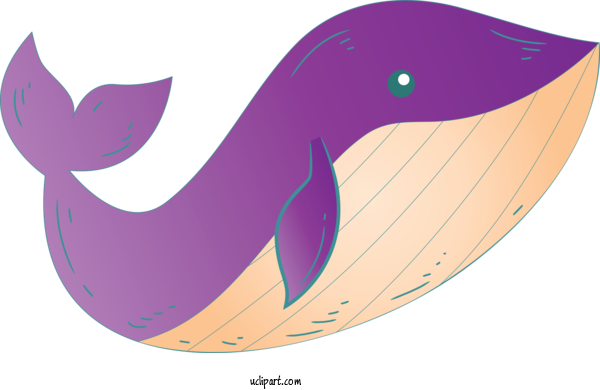 Free Animals Blue Whale Cetacea Dolphin For Whale Clipart Transparent Background