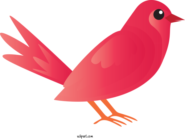 Free Animals Bird Northern Cardinal Beak For Bird Clipart Transparent Background