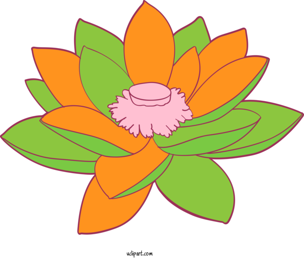 Free Flowers Orange Petal Flower For Lotus Flower Clipart Transparent Background