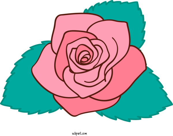 Free Flowers Pink Rose Garden Roses For Rose Clipart Transparent Background