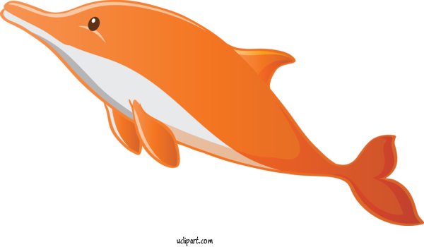 Free Animals Dolphin Fin Cetacea For Dolphin Clipart Transparent Background