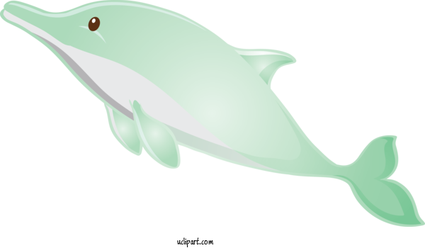 Free Animals Cetacea Dolphin Fin For Dolphin Clipart Transparent Background
