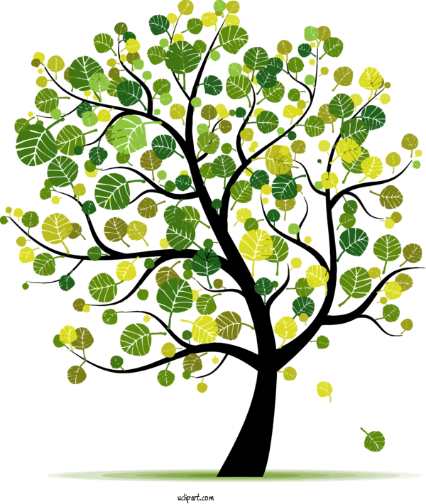 Free Nature Tree Branch Plant For Tree Clipart Transparent Background