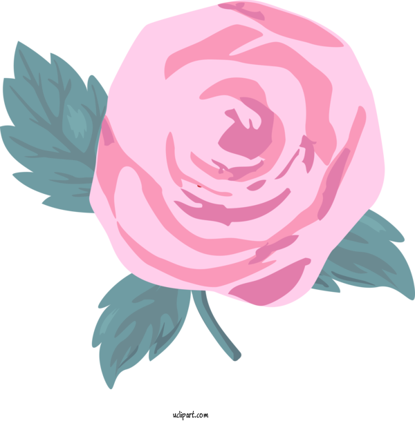 Free Flowers Pink Flower Garden Roses For Rose Clipart Transparent Background