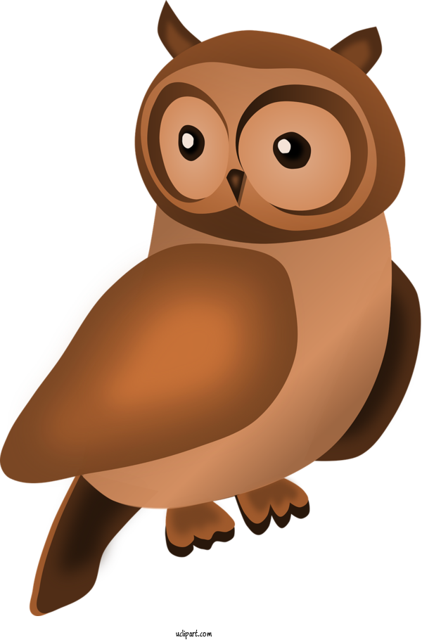 Free Animals Owl Cartoon Bird For Owl Clipart Transparent Background