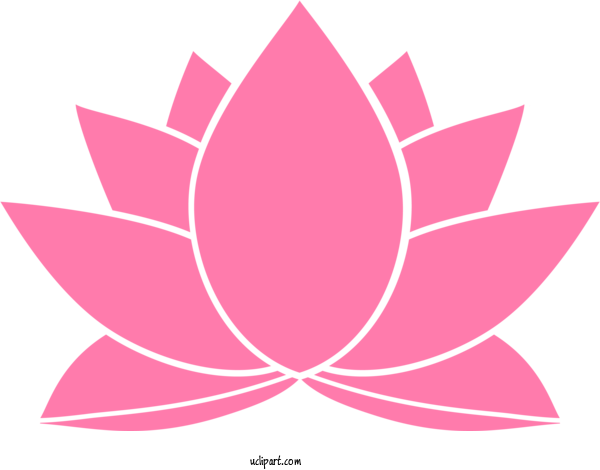 Free Flowers Pink Lotus Family Leaf For Lotus Flower Clipart Transparent Background