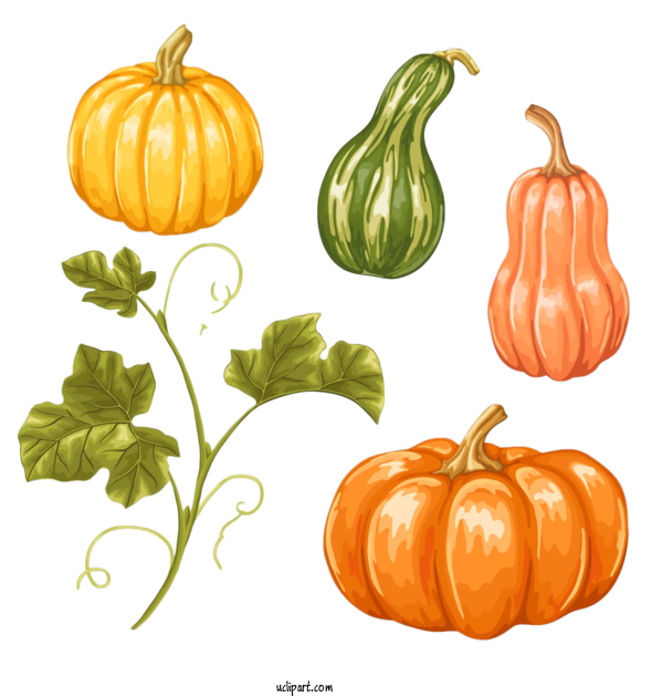 Free Holidays Natural Foods Calabaza Vegetable For Thanksgiving Clipart Transparent Background