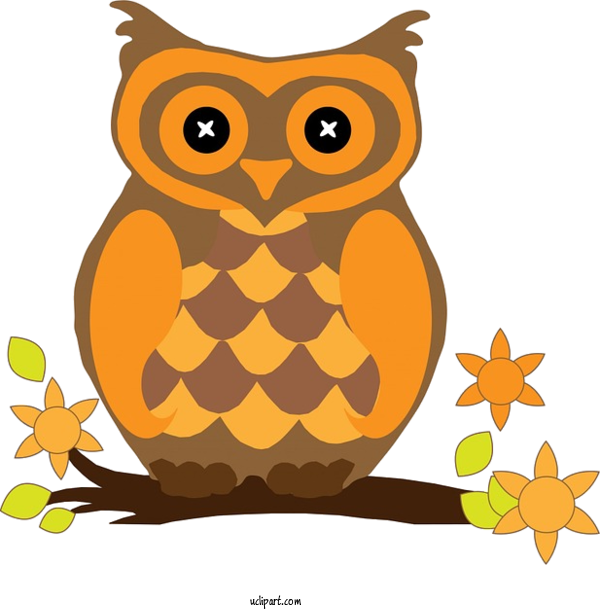 Free Animals Owl Cartoon Bird Of Prey For Owl Clipart Transparent Background
