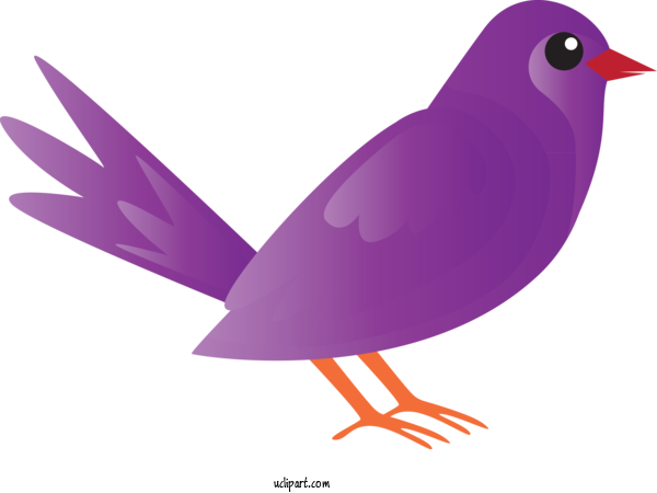 Free Animals Bird Beak Purple For Bird Clipart Transparent Background