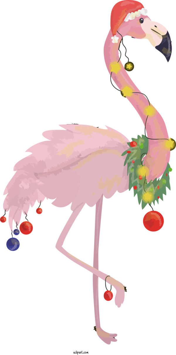 Free Holidays Pink Bird Flamingo For Christmas Clipart Transparent Background