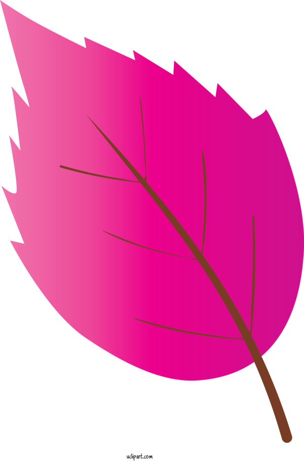 Free Nature Leaf Pink Magenta For Leaf Clipart Transparent Background