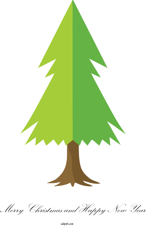 Free Holidays Tree White Pine Oregon Pine For Christmas Clipart Transparent Background
