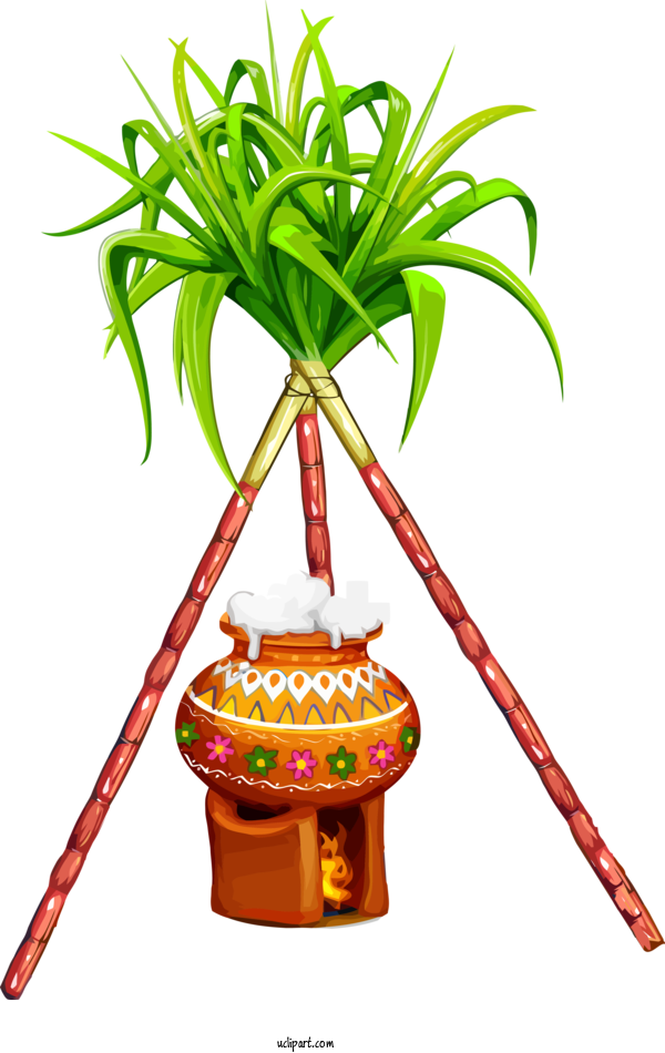 Free Holidays Houseplant Palm Tree Flowerpot For Pongal Clipart Transparent Background