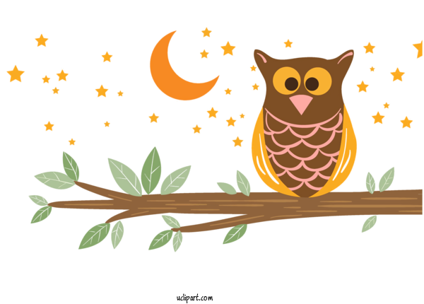 Free Animals Owl Branch Bird For Owl Clipart Transparent Background