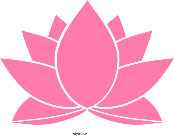Free Flowers Pink Lotus Family Leaf For Lotus Flower Clipart Transparent Background
