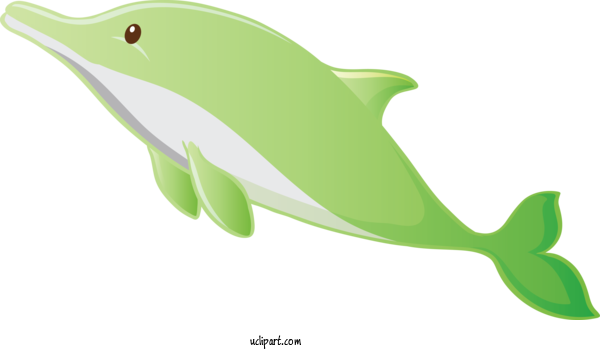 Free Animals Green Cetacea Dolphin For Dolphin Clipart Transparent Background