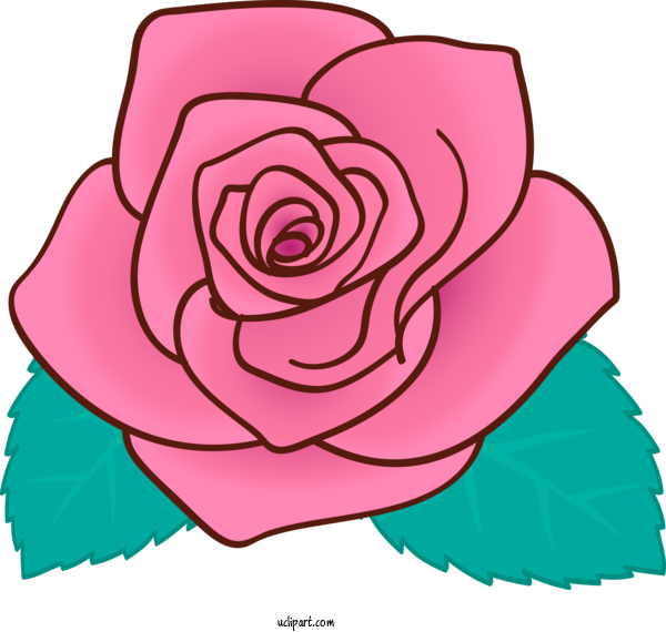 Free Flowers Pink Rose Garden Roses For Rose Clipart Transparent Background