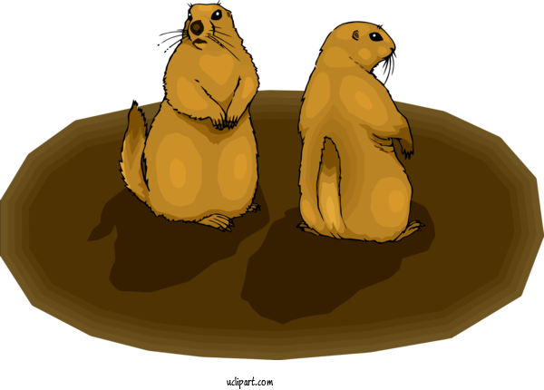 Free Holidays California Sea Lion Seal Steller Sea Lion For Groundhog Day Clipart Transparent Background