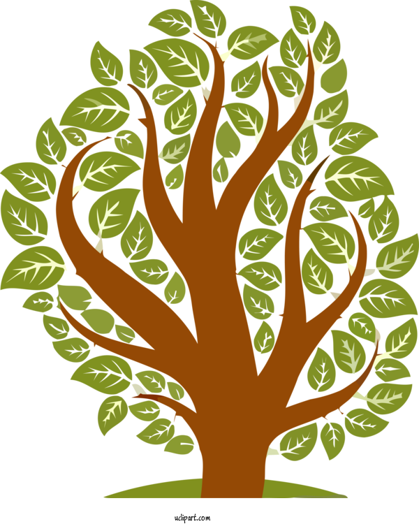 Free Nature Leaf Green Tree For Tree Clipart Transparent Background