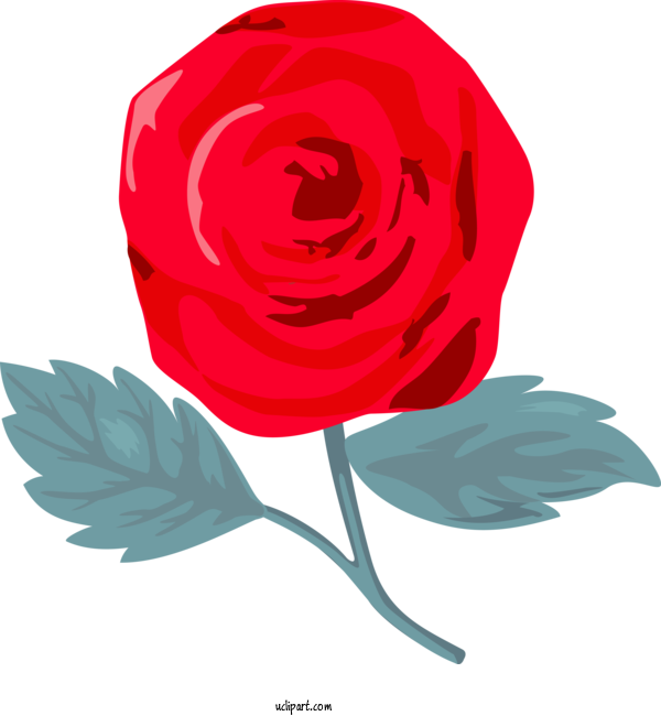 Free Flowers Garden Roses Red Rose For Rose Clipart Transparent Background