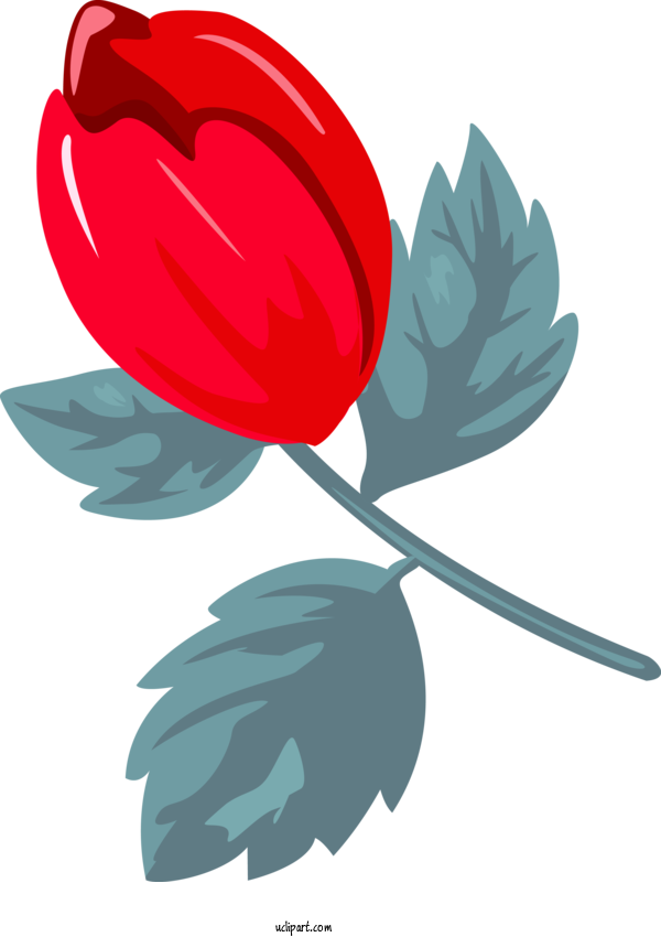 Free Flowers Leaf Tulip Plant For Rose Clipart Transparent Background