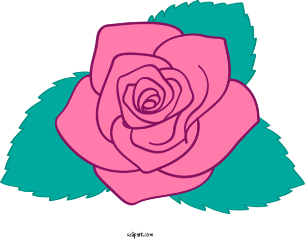 Free Flowers Pink Rose Blue Rose For Rose Clipart Transparent Background