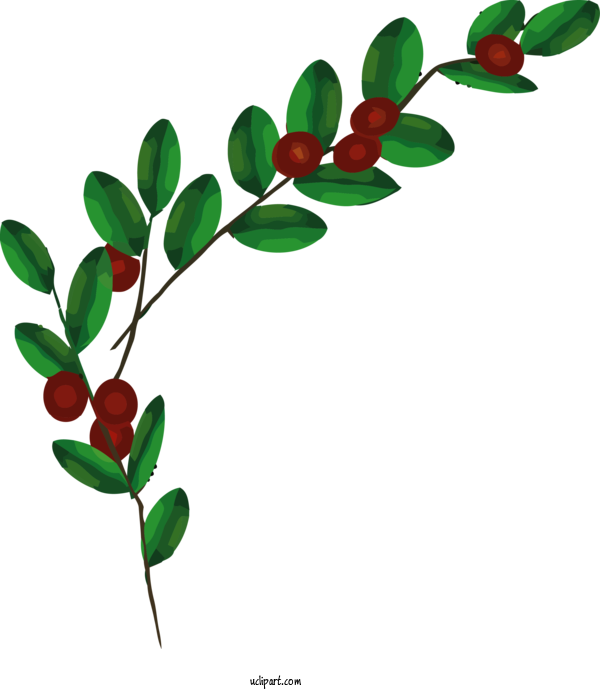 Free Holidays Branch Flower Plant For Christmas Clipart Transparent Background