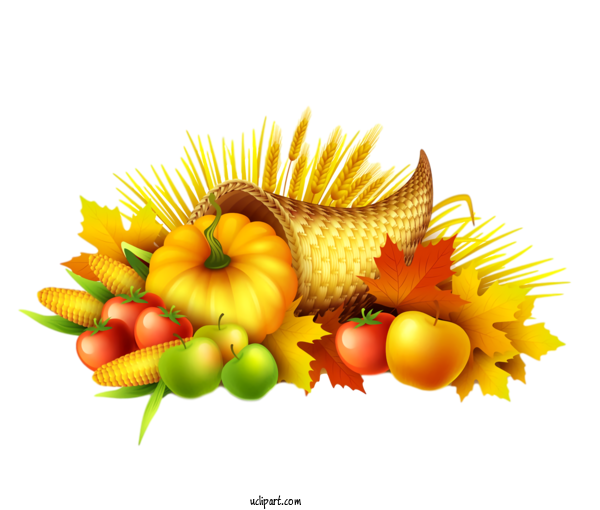 Free Holidays Natural Foods Yellow Plant For Thanksgiving Clipart Transparent Background