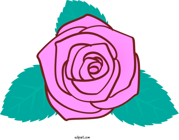 Free Flowers Rose Pink Purple For Rose Clipart Transparent Background