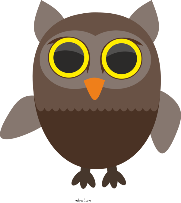 Free Animals Owl Cartoon Bird For Owl Clipart Transparent Background