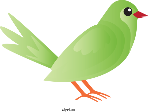 Free Animals Bird Beak Green For Bird Clipart Transparent Background