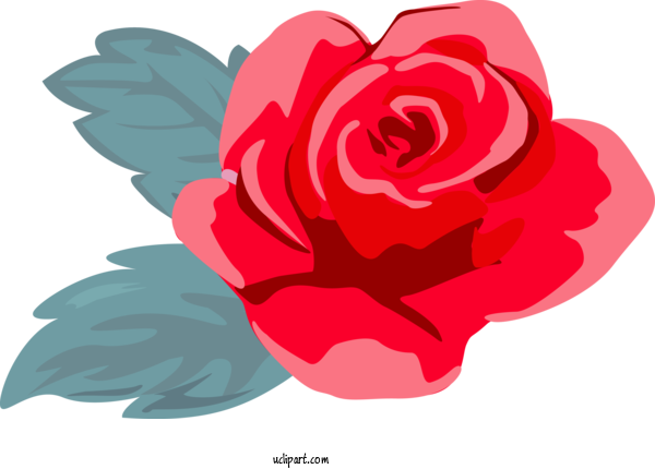 Free Flowers Petal Red Pink For Rose Clipart Transparent Background