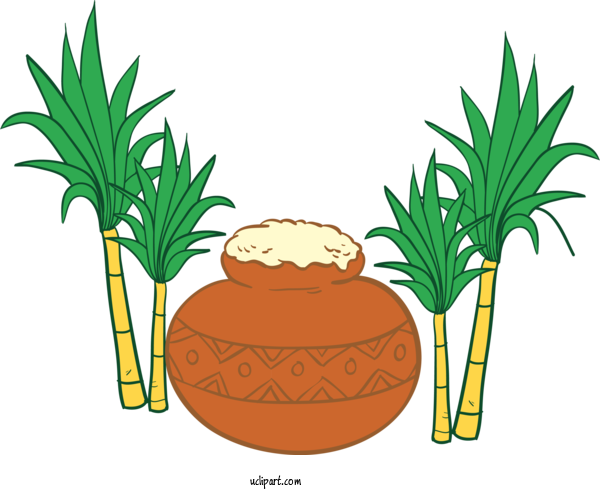 Free Holidays Plant Palm Tree Tree For Pongal Clipart Transparent Background