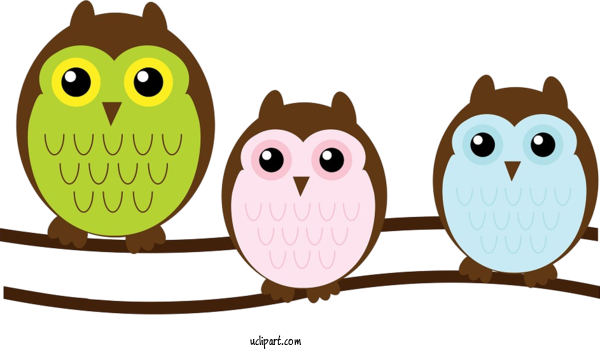 Free Animals Owl Bird Cartoon For Owl Clipart Transparent Background