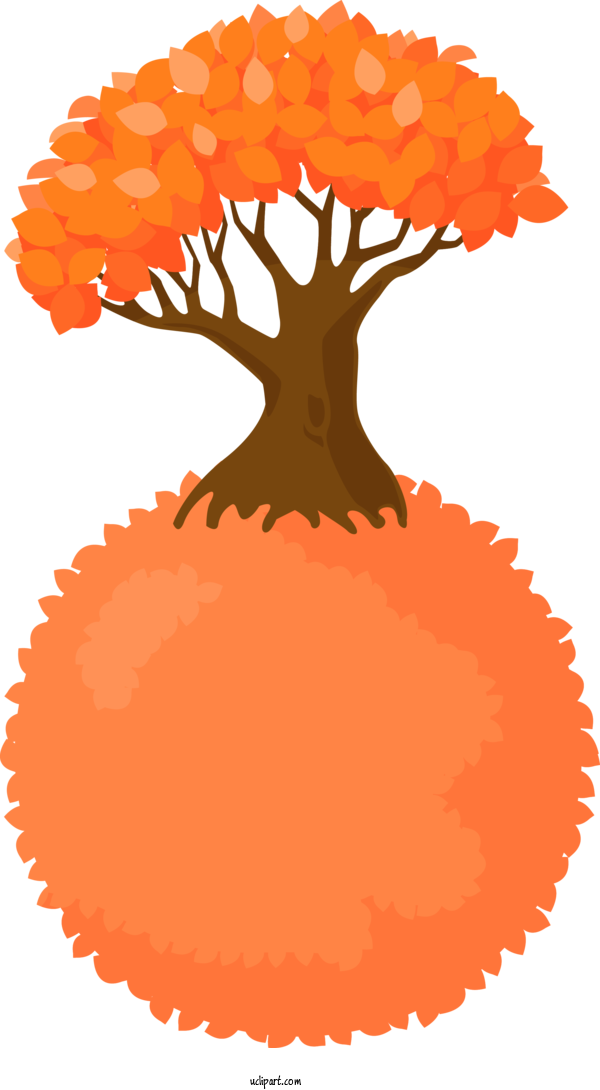 Free Nature Orange Plant For Tree Clipart Transparent Background