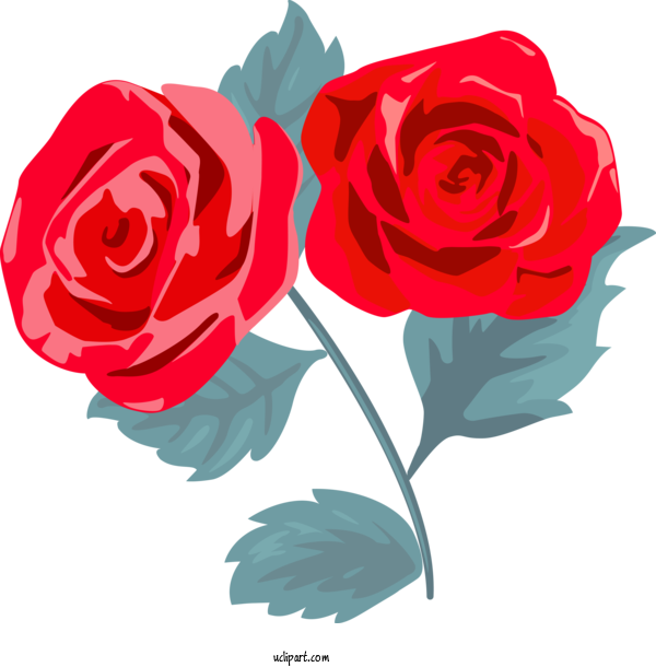Free Flowers Garden Roses Flower Rose For Rose Clipart Transparent Background