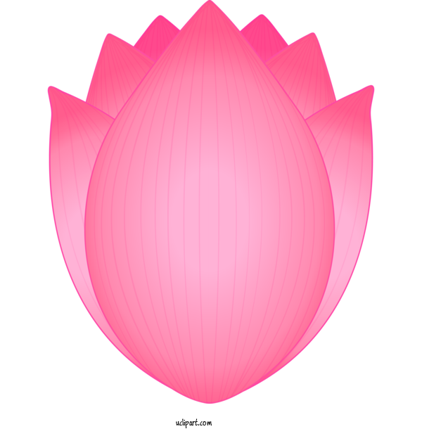 Free Flowers Pink Petal Leaf For Lotus Flower Clipart Transparent Background
